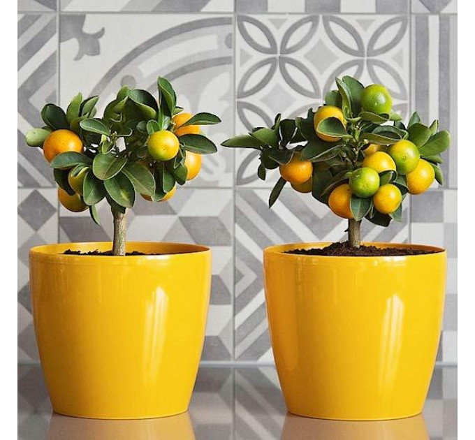 Горшок для цветов Магнолия 135мм желтый