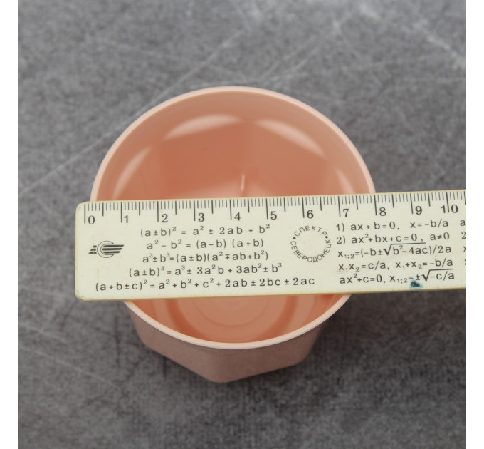 Горшок для кактусов FormPlastic Ankona Cactus-8 0,2 л, нюд