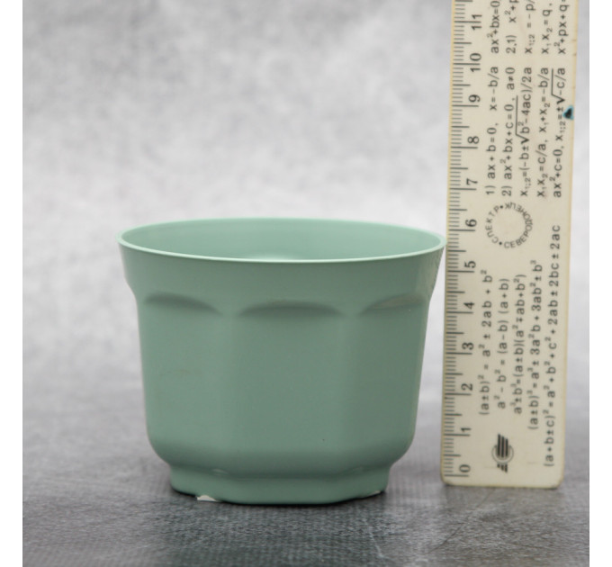 Горшок для кактусов FormPlastic Ankona Cactus-8 0,2 л, мятный