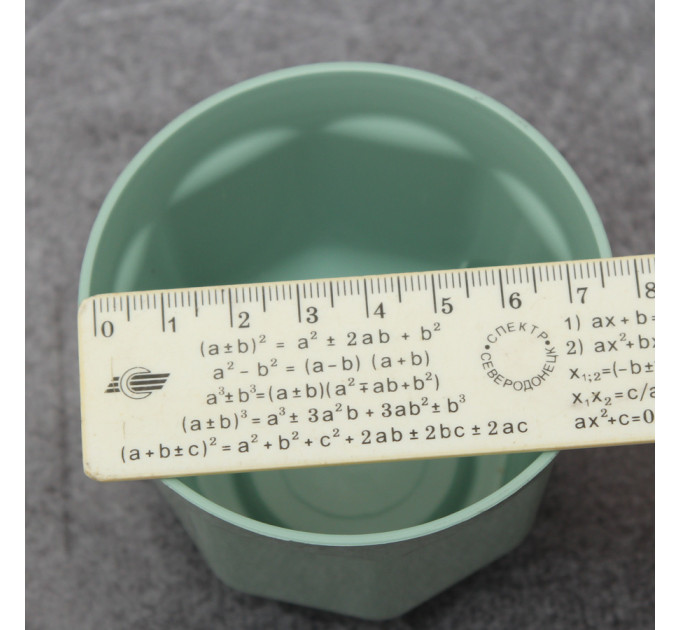 Горшок для кактусов FormPlastic Ankona Cactus-8 0,2 л, мятный