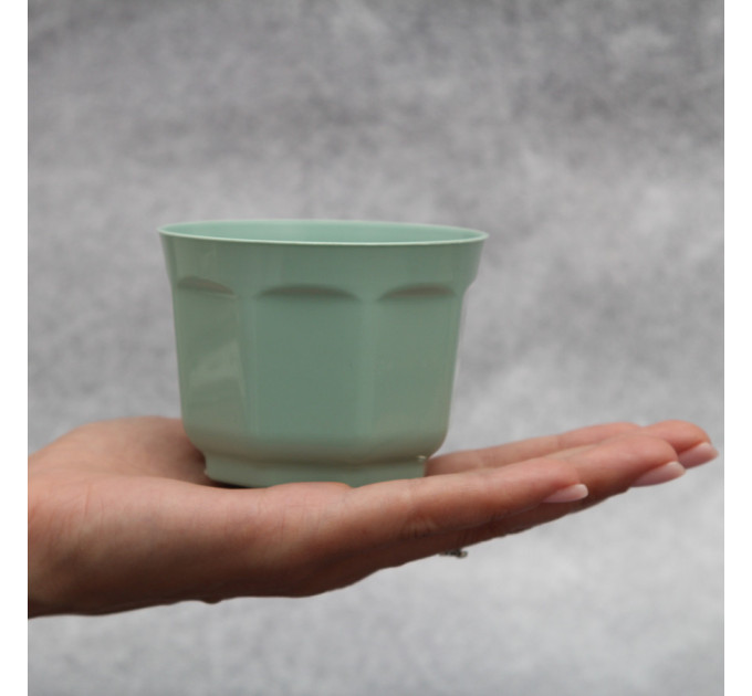 Горшок для кактусов FormPlastic Ankona Cactus-8 0,2 л, мятный