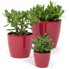 Горшок для цветов Магнолия 120мм бордовый