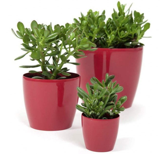 Горшок для цветов Магнолия 120мм бордовый