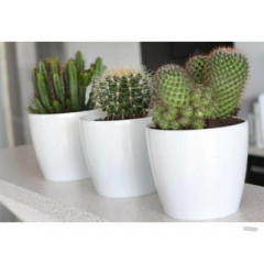 Горшок для цветов Магнолия 120мм бел.перламутровый