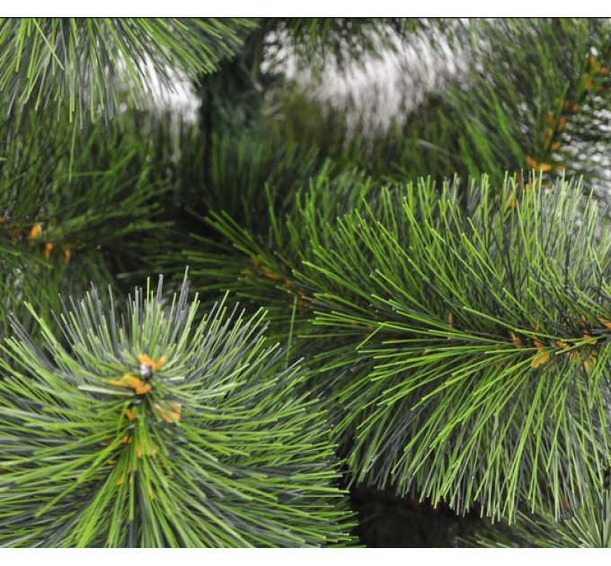 Сосна «Новогодняя» пушистая, высота 180 см