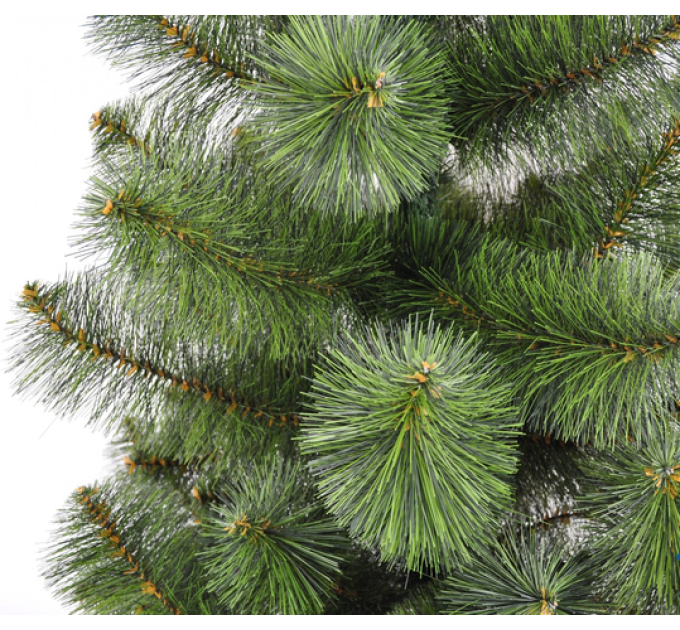 Сосна «Новогодняя» пушистая, высота 180 см
