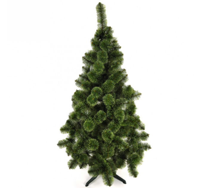 Сосна «Новогодняя» пушистая, высота 210 см