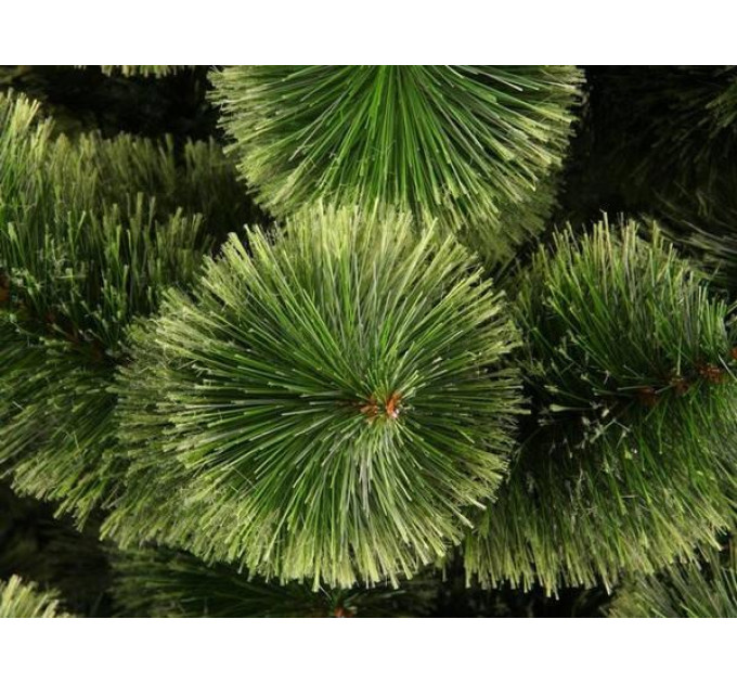 Соснна «Новорічна» пухнаста, висота 120 см