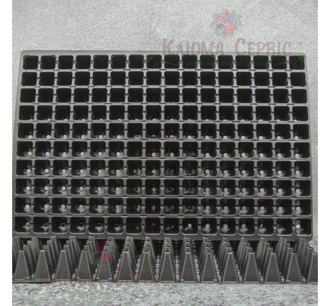 Кассета для рассады DP 32/160