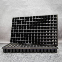 Кассета для рассады WD 24х24х52/160kw