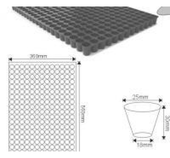 Кассета для рассады DP 25/260