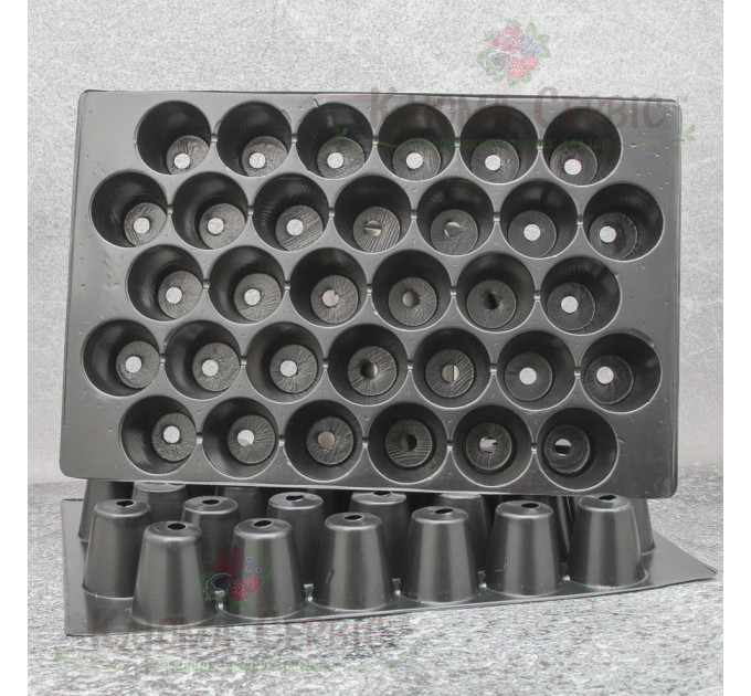 Касета для розсади DP 6/32