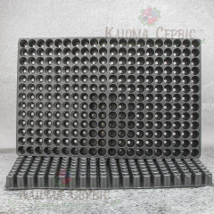 Кассета для рассады DP 25/260