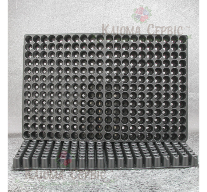 Кассета для рассады DP 25/260