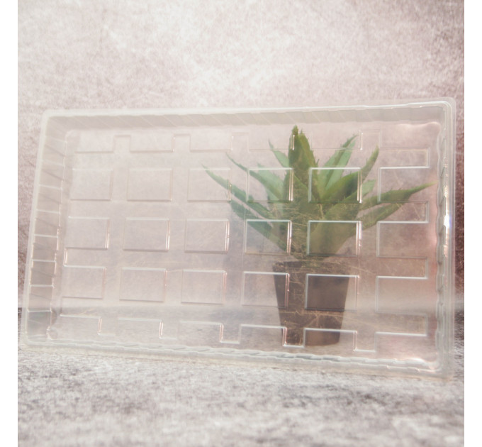 Кришка на касети для розсади, Польща