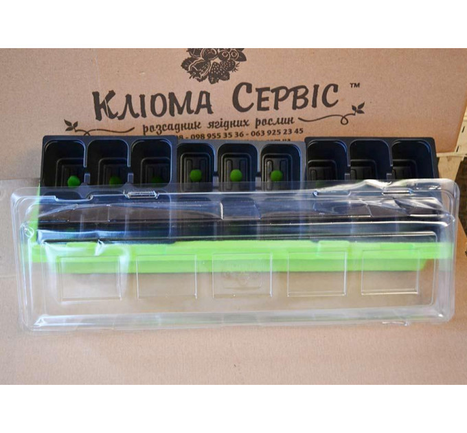 Мини-тепличка 47х16 см VEFI, Польша