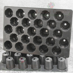 Кассета для рассады DP 65/25