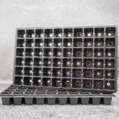 Кассета для рассады WD 45х45х50/60kw