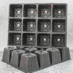 Кассета для рассады DP 8/12