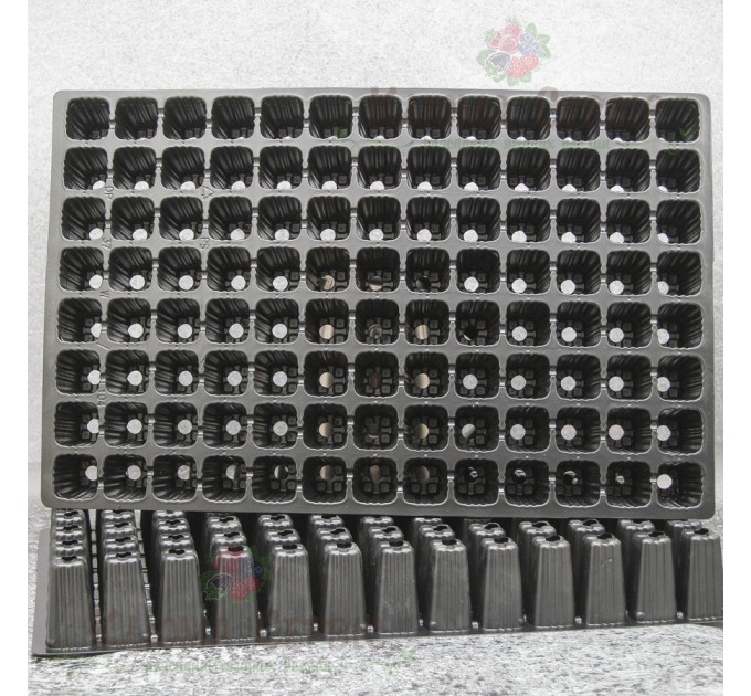 Касета для розсади DP 35W/104