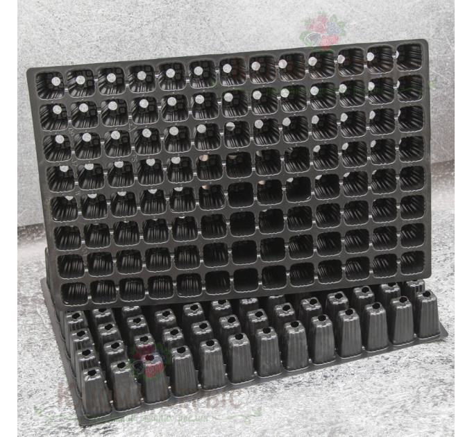 Касета для розсади DP 35W/104