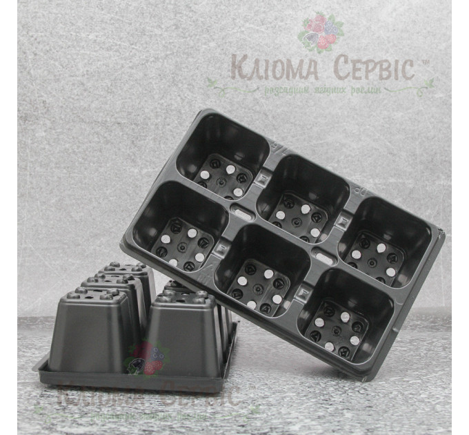 Касета для розсади DP 7/6