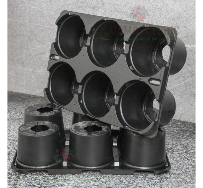 Кассета для рассады DP 9/6