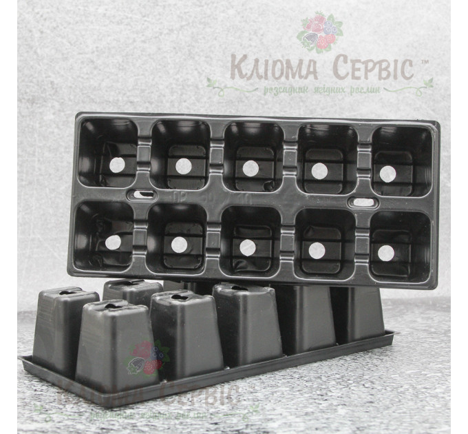 Касета для розсади DP 50/10