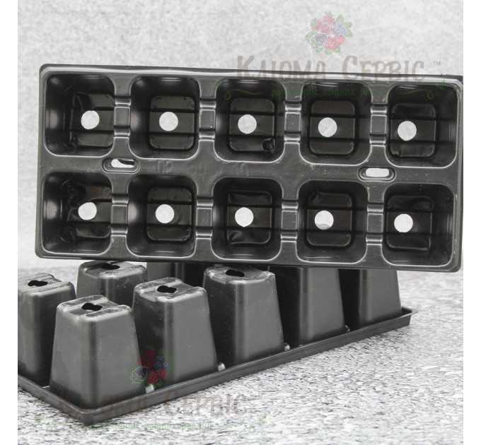 Касета для розсади DP 50/10