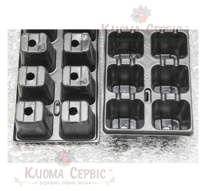 Касета для розсади DP 50/10