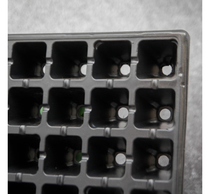 Кассета для рассады WD 50х50х62/45kw (узкое дно)