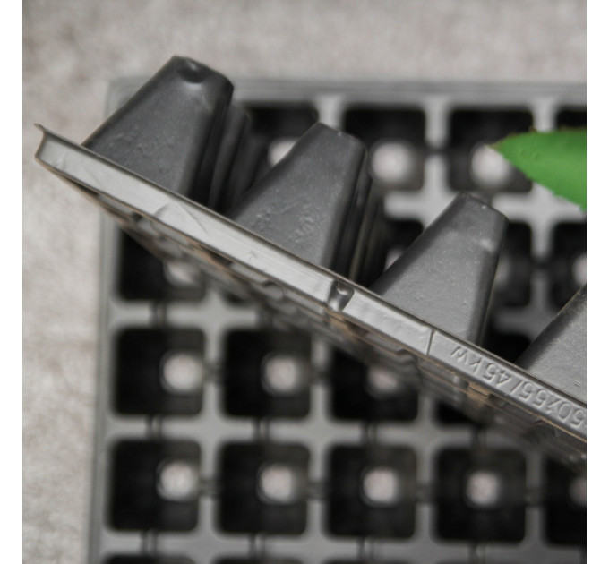 Кассета для рассады WD 50х50х62/45kw (узкое дно)