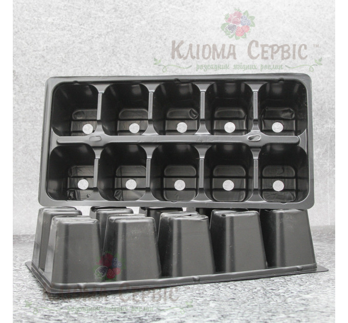 Кассета для рассады DP 61/10