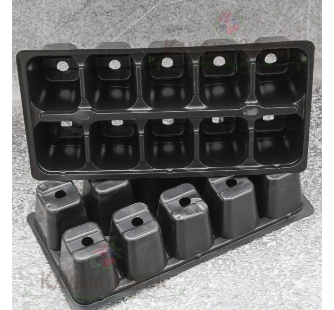 Кассета для рассады DP 61/10