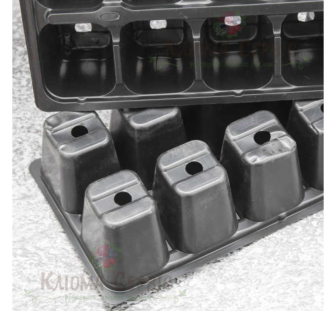 Кассета для рассады DP 61/10