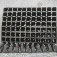 Кассета для рассады DP 45/77