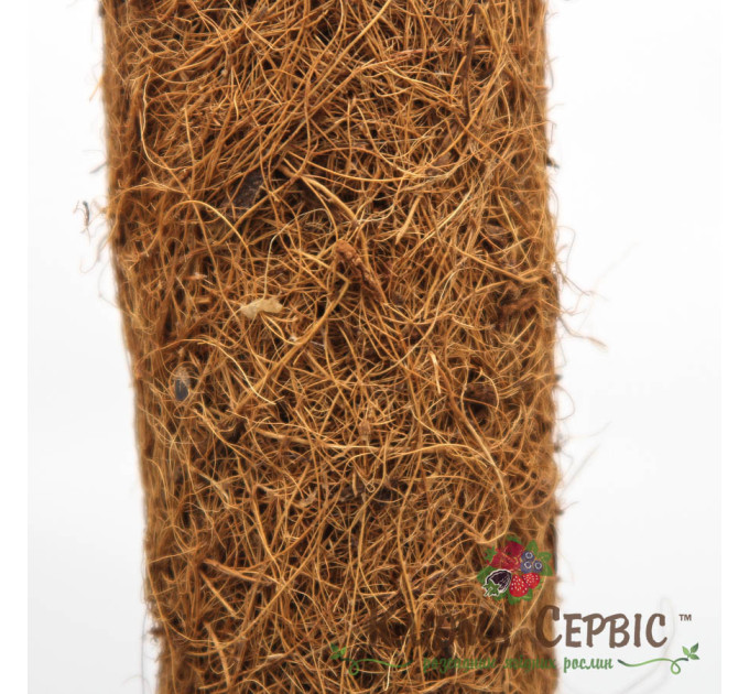 Кокосовая опора для растений, 100 см