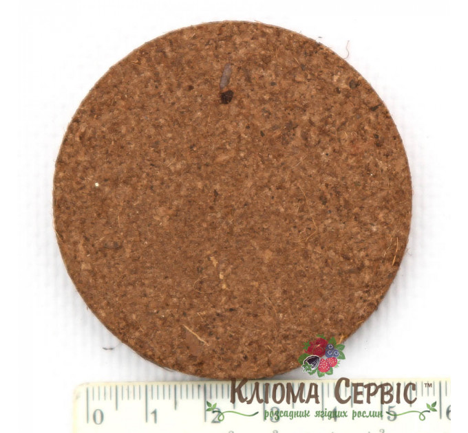 Кокосовые таблетки, d-30 мм 100% Чипс упаковка 100 шт