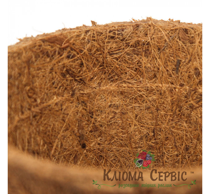 Кокосовый горшок, d-10,5см/7,5см/h-9см