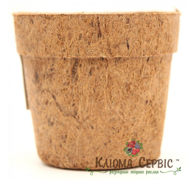 Кокосовый горшок, d-10,5см/7,5см/h-9см