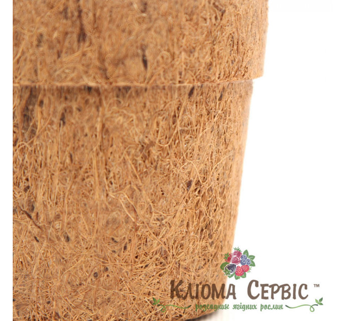 Кокосовый горшок, d-10,5см/7,5см/h-9см