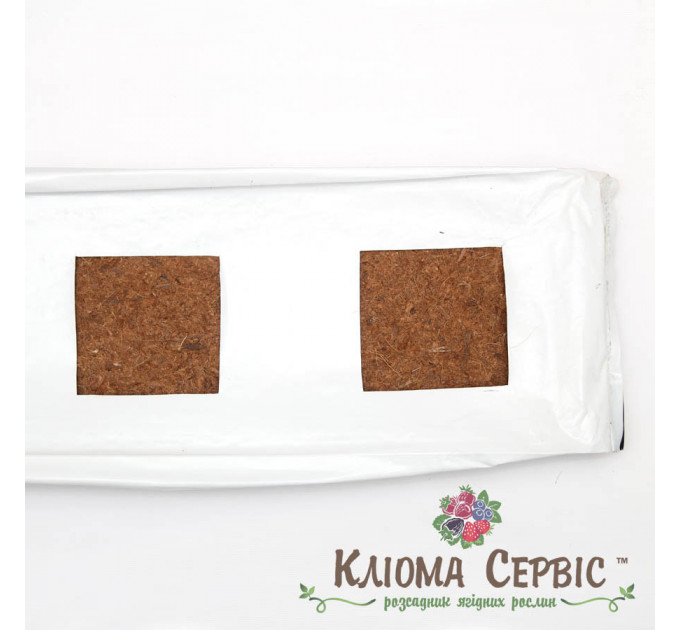 Гроу Бэг, 100х15х10 см