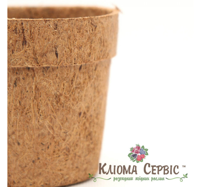 Кокосовый горшок, d-15см/11см/h-11см