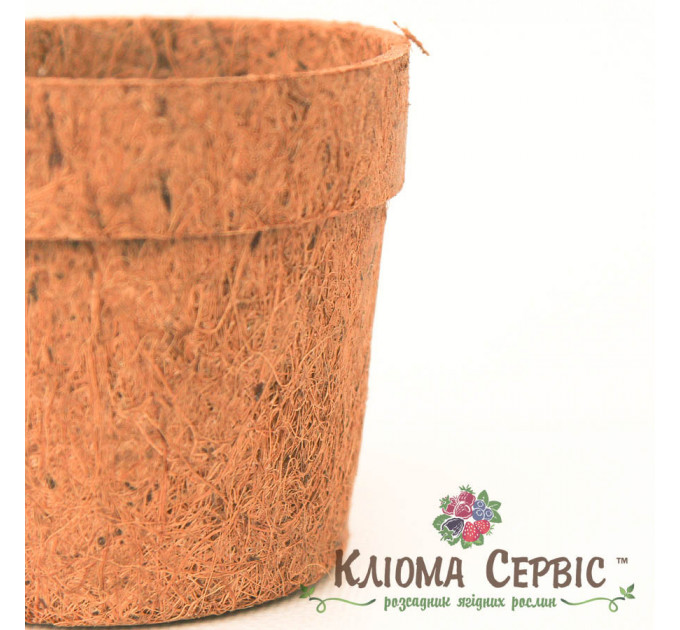 Кокосовый горшок, d-15см/11см/h-11см