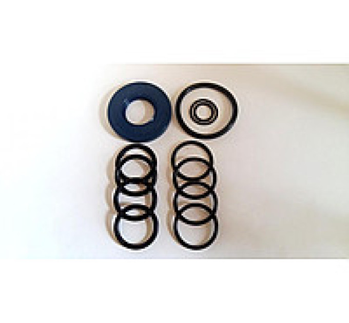 Ремкомплект насоса Tolveri P-120