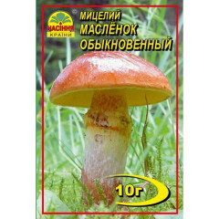 Мицелий гриба Масленок обыкновенный, 10 гр