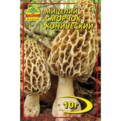 Мицелий гриба Сморчок конический, 10 гр