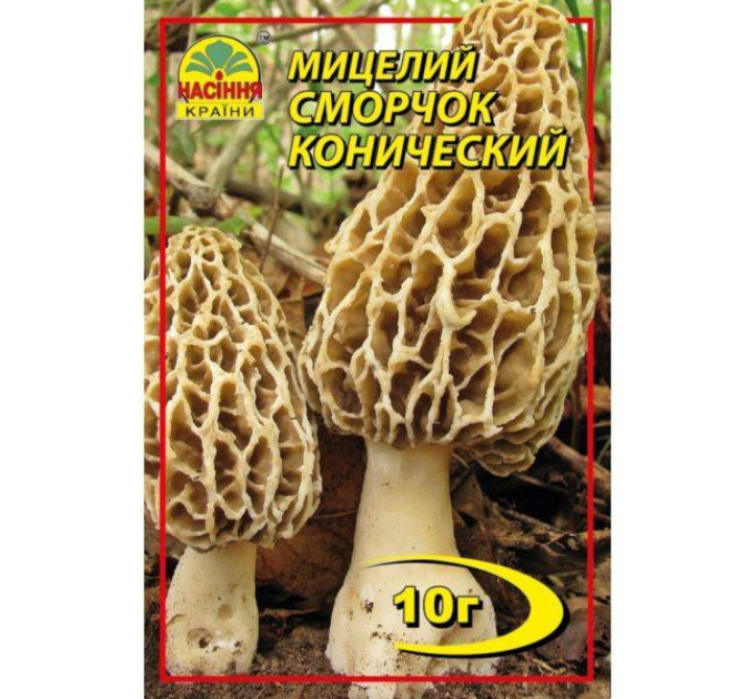 Мицелий гриба Сморчок конический, 10 гр