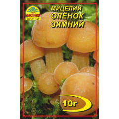 Мицелий гриба Опенок зимний, 10 гр