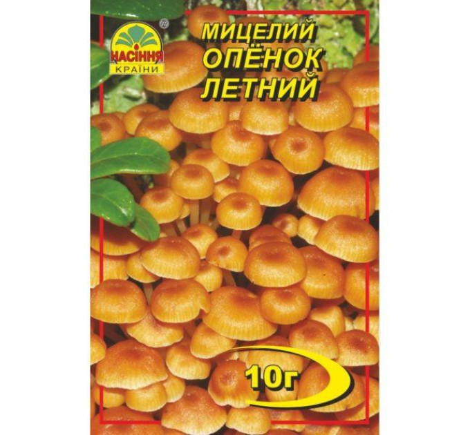 Мицелий гриба Опенок летний, 10 гр